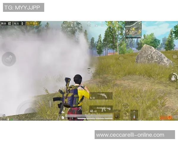 和平精英战术分析：深入探讨WE战队的边路渗透策略与实战应用