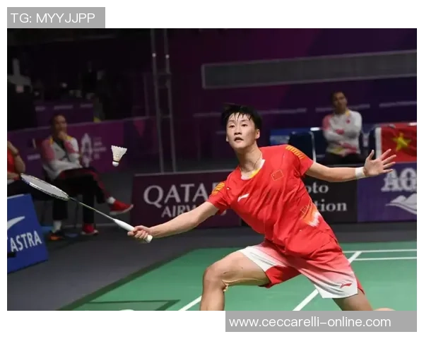 北京羽毛球队挑战赛战术分析与表现评估全景解读