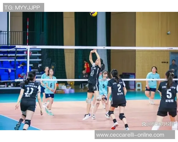 南京排球队灵活性排名提升至第五名展现出色竞技水平与团队合作精神